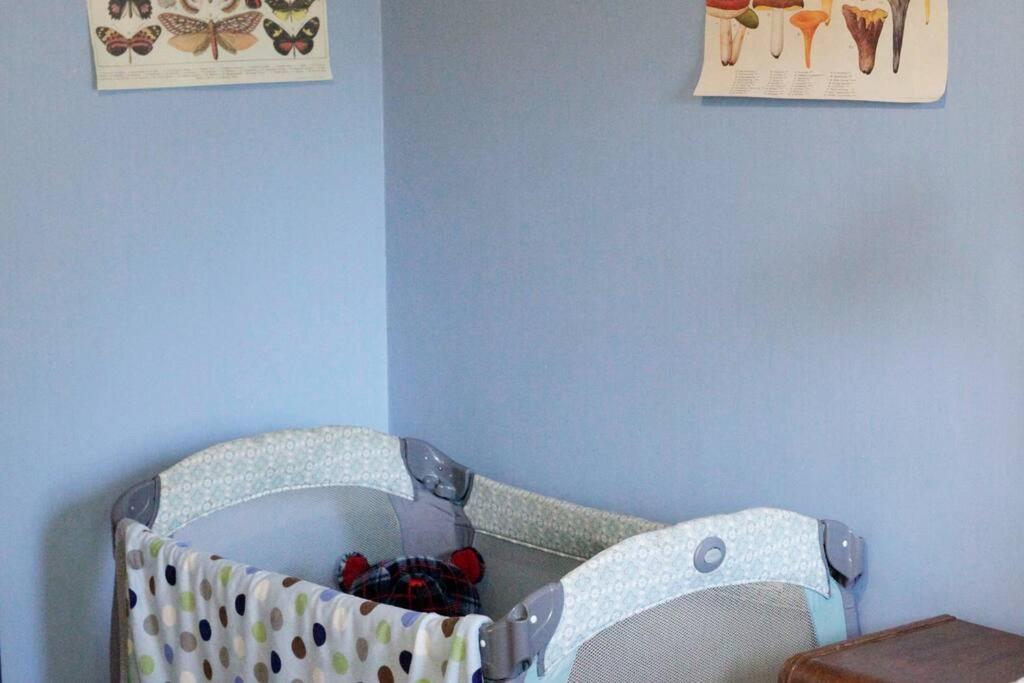 Beautiful, Historic Family Home Near Lake Merritt Oakland Luaran gambar