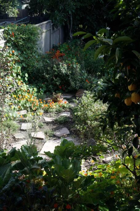 Beautiful, Historic Family Home Near Lake Merritt Oakland Luaran gambar