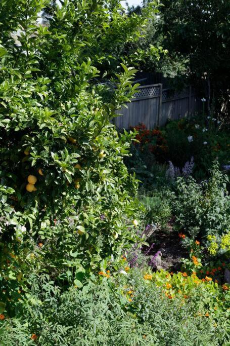 Beautiful, Historic Family Home Near Lake Merritt Oakland Luaran gambar