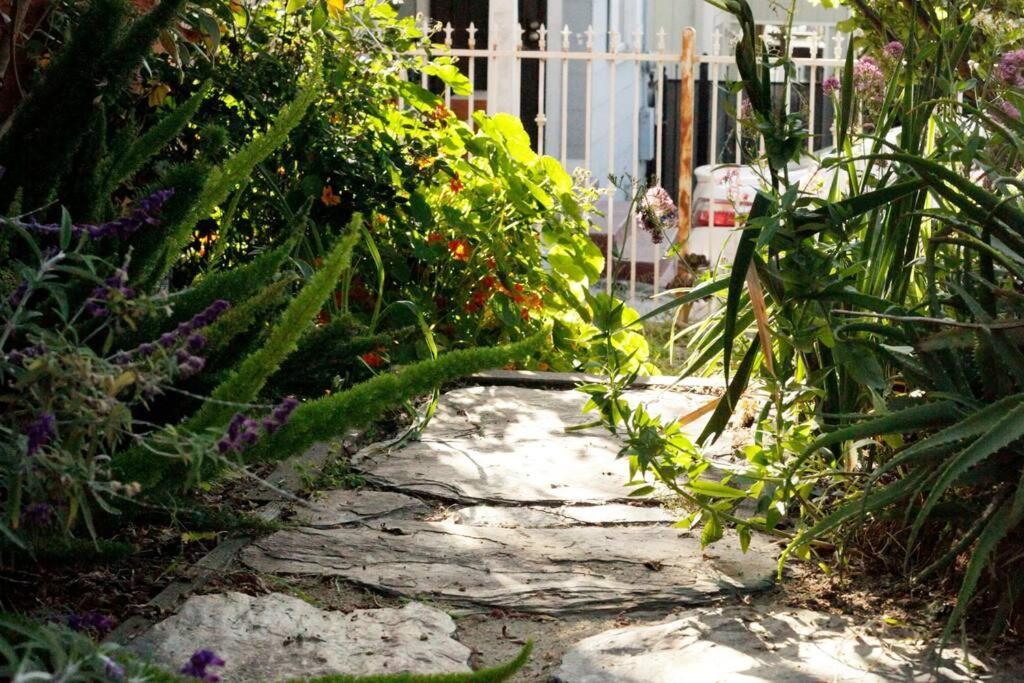 Beautiful, Historic Family Home Near Lake Merritt Oakland Luaran gambar